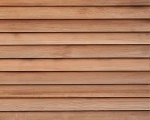 Cedar Wood
