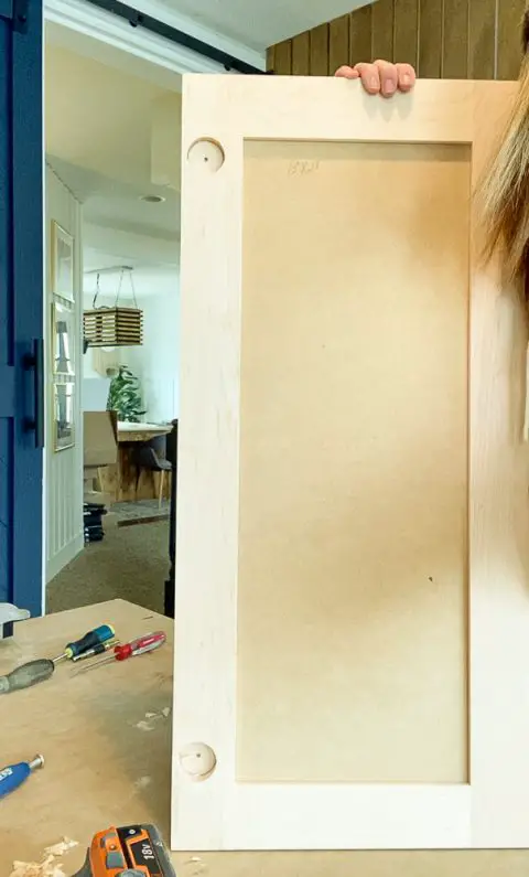 How to Replace Kitchen Cabinet Doors for a New Look - Design to Build