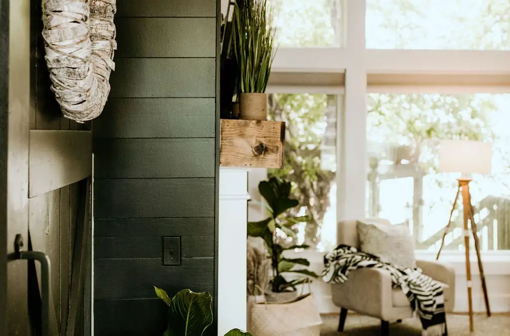 11 Easiest Indoor Plants to Keep Alive