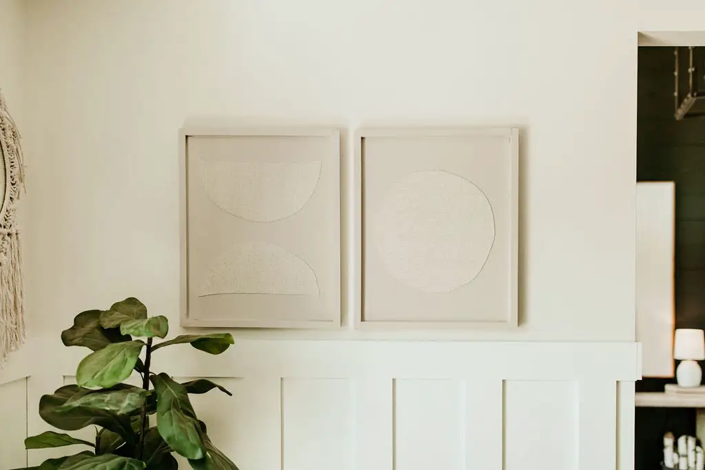 Green leaf plant in front of 2 hanging pictures for Easiest Indoor Plants to Keep Alive.