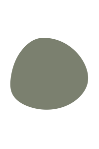 Dried Thyme paint chip