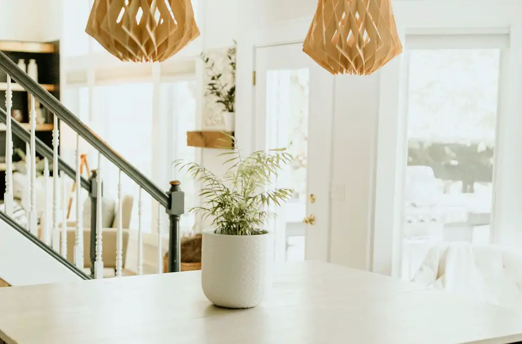 How Organic Modern Paint Colors Bring Warmth to My Home