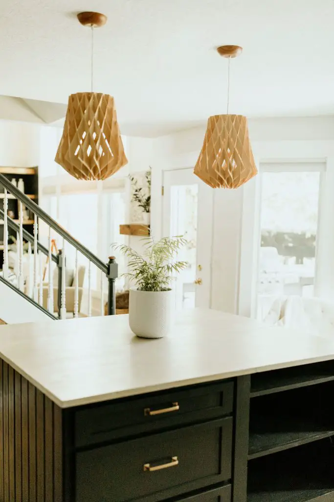Plant sitting on a kitchen island.
