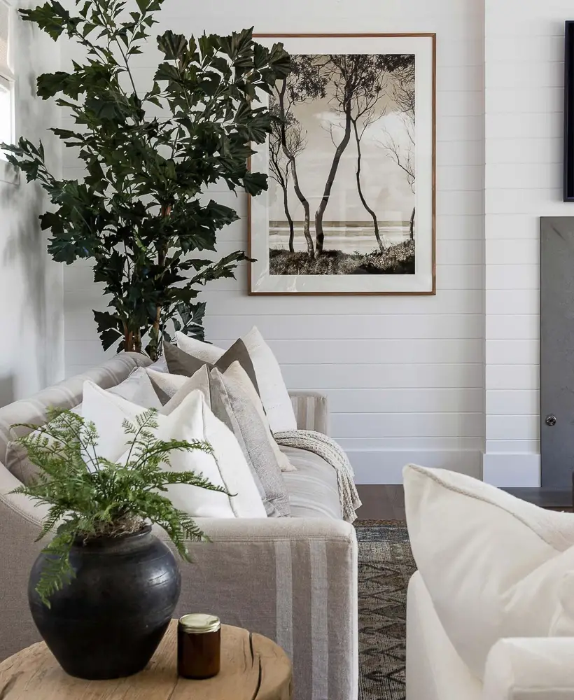 Living room with a sofa and 2 plants.