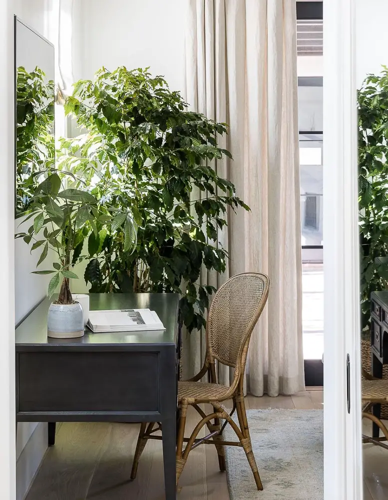 Desk with a large ornamental tree next to it.
