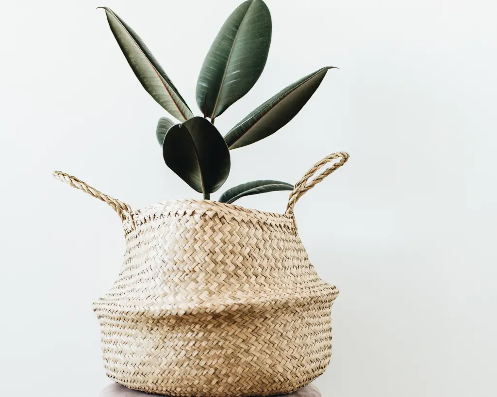 Greenery in a basket.