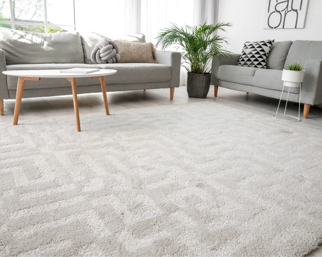 Clean patterned carpet with a sofa and coffee table.
