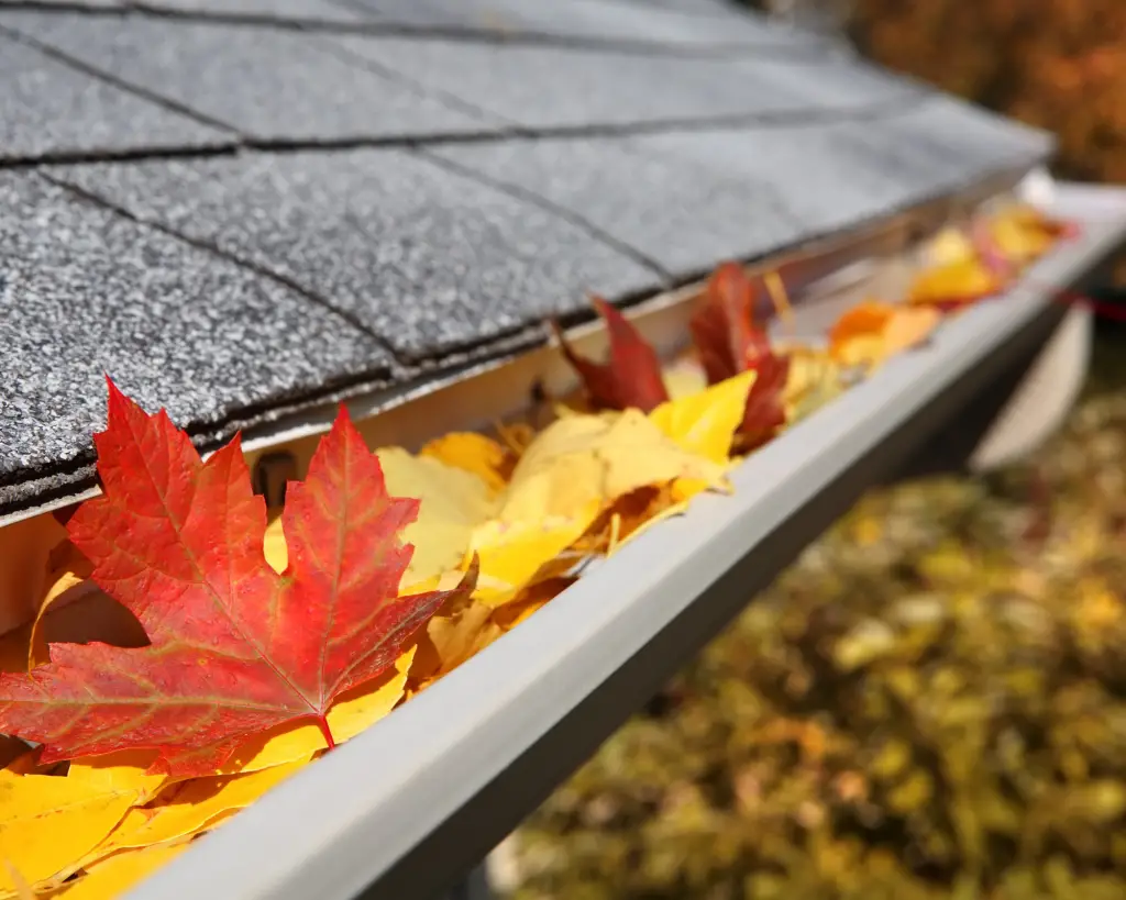 Gutter full of leaves for backyard spring cleaning checklist. 