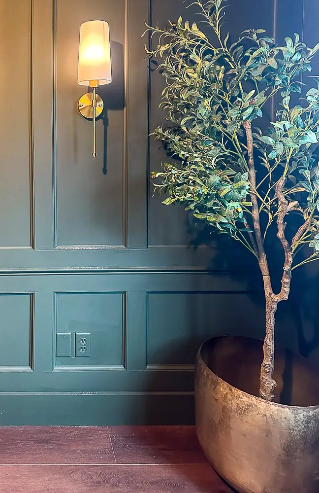 Olive tree in a large pot against a millwork accent wall for Murphy Bed Benefits post.