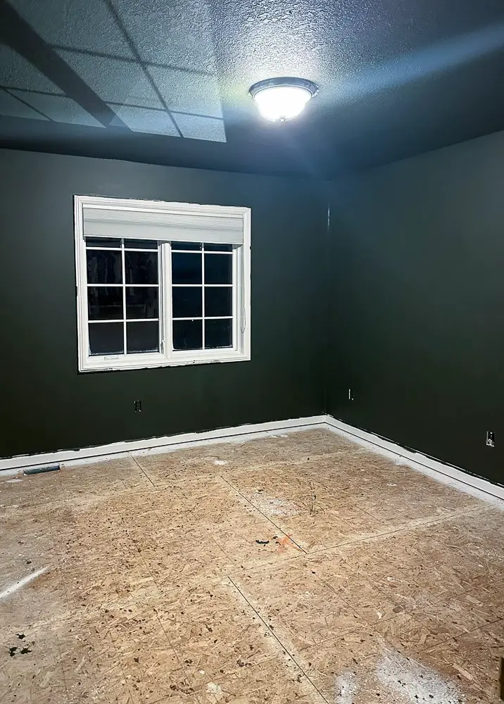 Dark moody painted walls. Green with a double window.