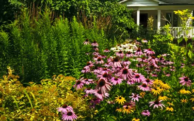 How To Create a Thriving Backyard Garden Oasis