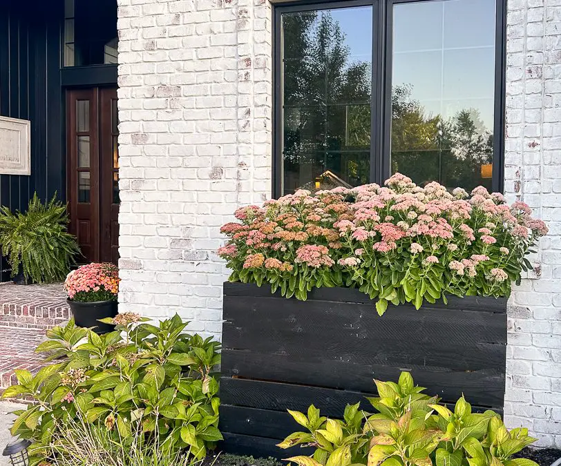 5 Fall Landscaping Ideas To Beautify Your Yard This Season